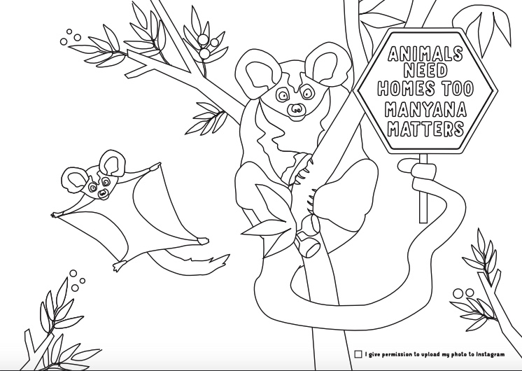 writtenbyluisa's tweet photo. Help us in #Manyana! We've launched a campaign to get the cute Greater Glider into the inboxes of our leaders. Download our poster https://t.co/LOhRk1HK3q, colour it in, email it to @RobStokesMP @GladysB @Matt_KeanMP. Big thx to Beck Feiner &amp; Virginia Mesiti! https://t.co/2tr7BerS0S