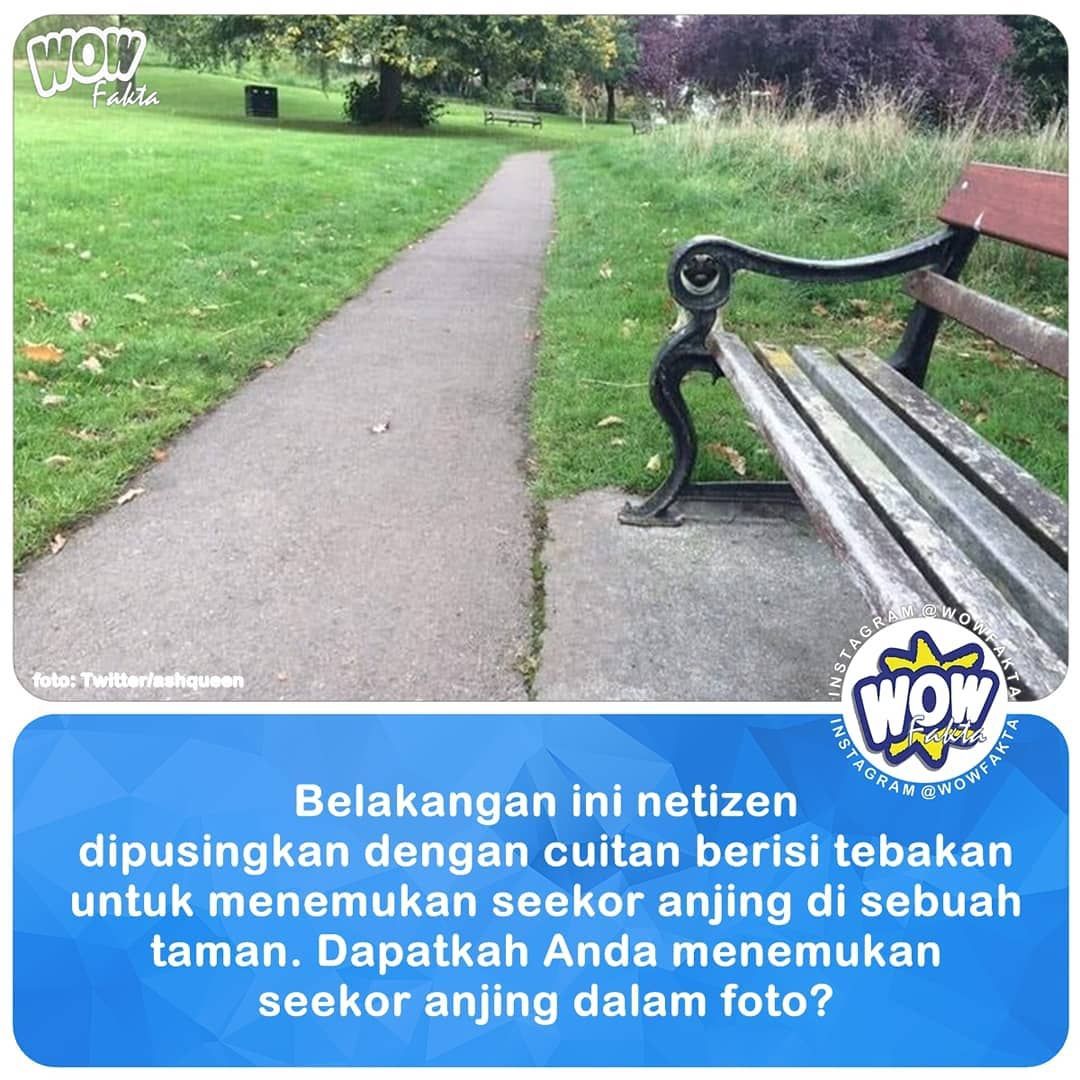 kontenwow's tweet photo. “Beberapa hari belakangan ini #netizen dipusingkan dengan cuitan berisi #tebakan untuk menemukan seekor anjing di sebuah #taman.  Pengguna…”⤵ 
.
https://t.co/aepEeCssP3
.
. https://t.co/olYUkInswZ
