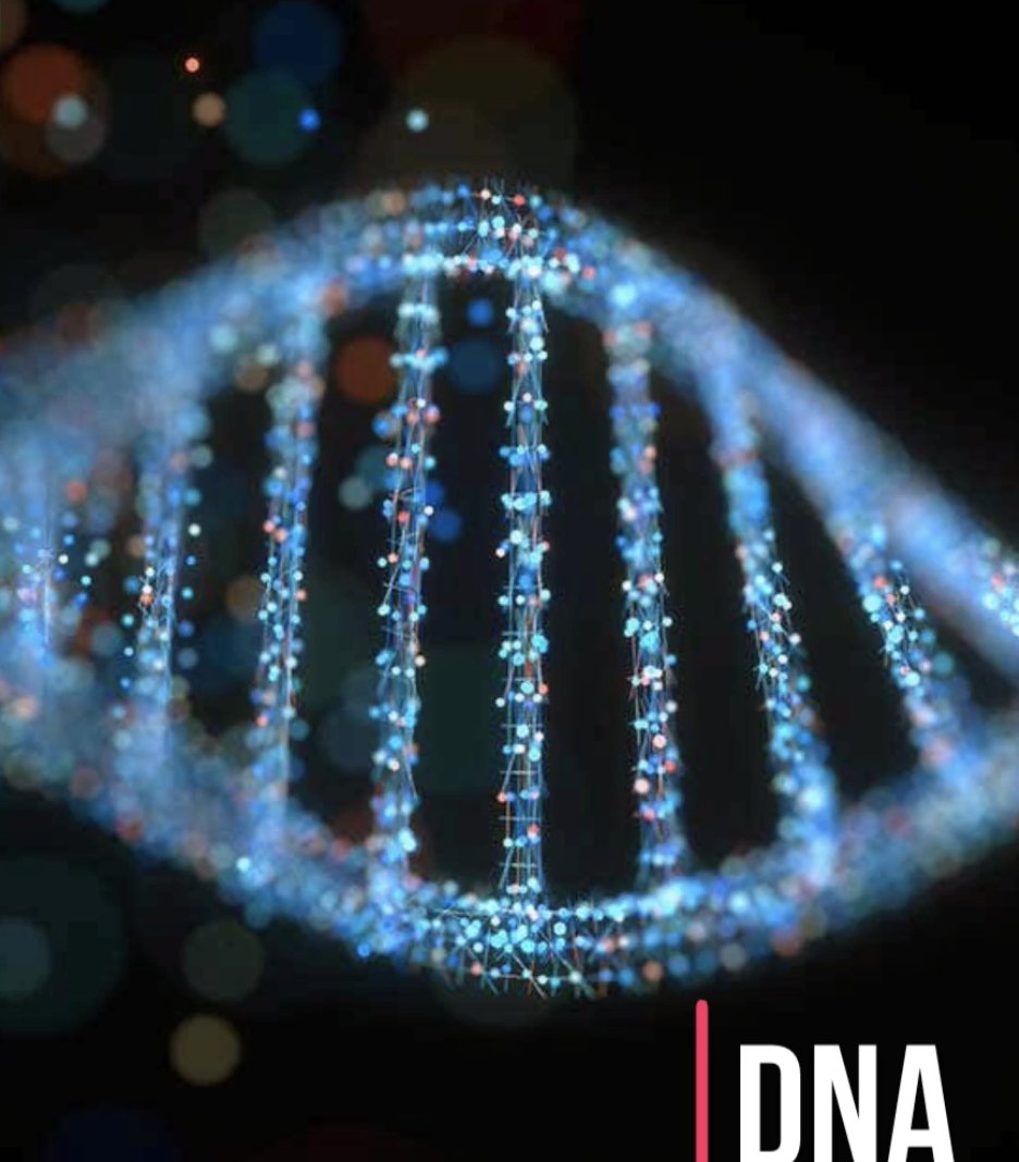 Science | Repton Abu Dhabi tweet media