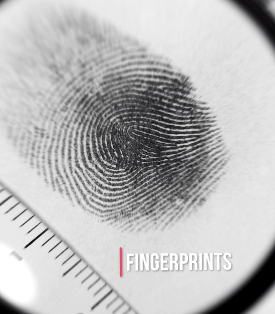 Science | Repton Abu Dhabi tweet media