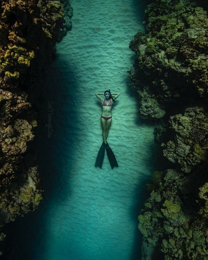 PacificStraw's tweet image. peaceful and relax place!
Take a break 🌊
.
📷 @_jimward_
.
#underwaterlife #diving #underwaterimage #underwaterworld #underwaterpic #seacreature #underwater #oceanphotography #oceanvibes #oceans #deepbluesea #oceanlife #oceanvibe