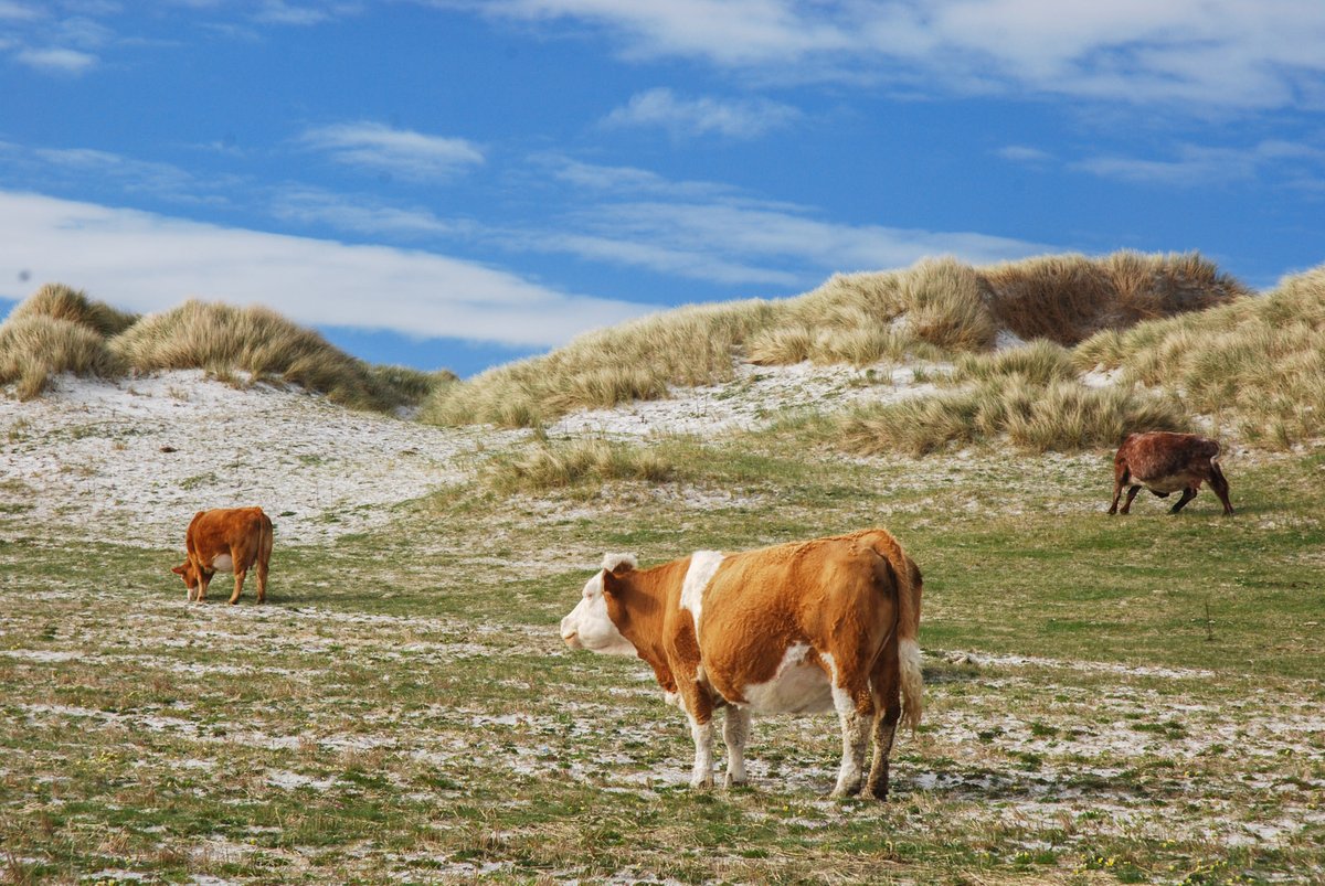 was going to see my daughter in Benbecula who I’ve not seen for 4 years . Beautiful part of Scotland the Hebrides very magical peaceful place  "Sorry for the plug, but if you want more inspiration for your own future island-bagging adventures, check out...