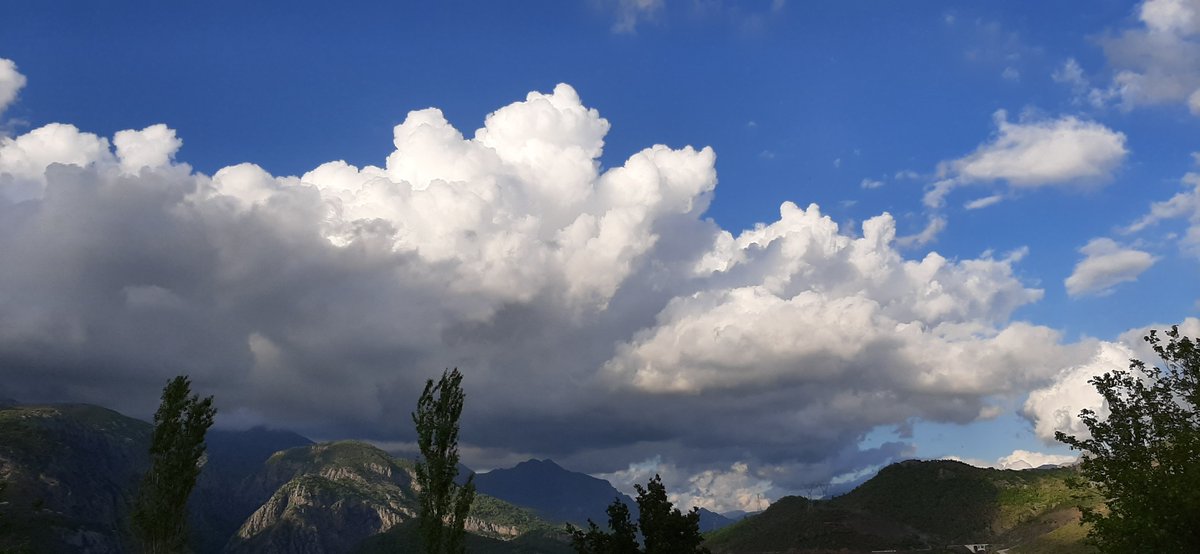 Erald (@jhonnyerald) on Twitter photo 