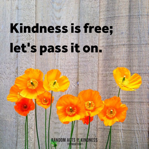 ZoeMiddleton20's tweet photo. Kindness is the keyword https://t.co/YFv7yenNaP