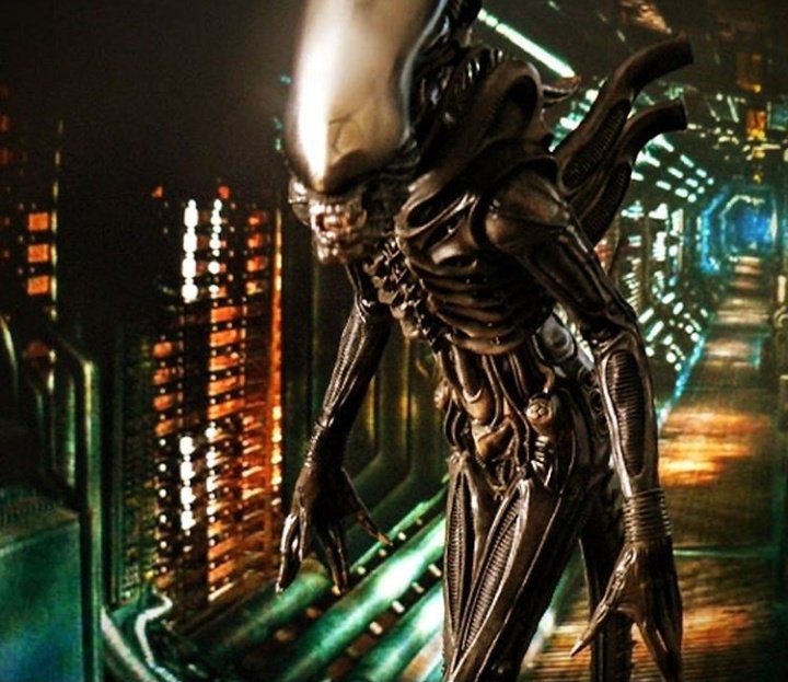 predatorfanpage's tweet photo. #alien #Aliens #predator #thepredator #predators #avp #avp2 https://t.co/IphxXyEQ3U