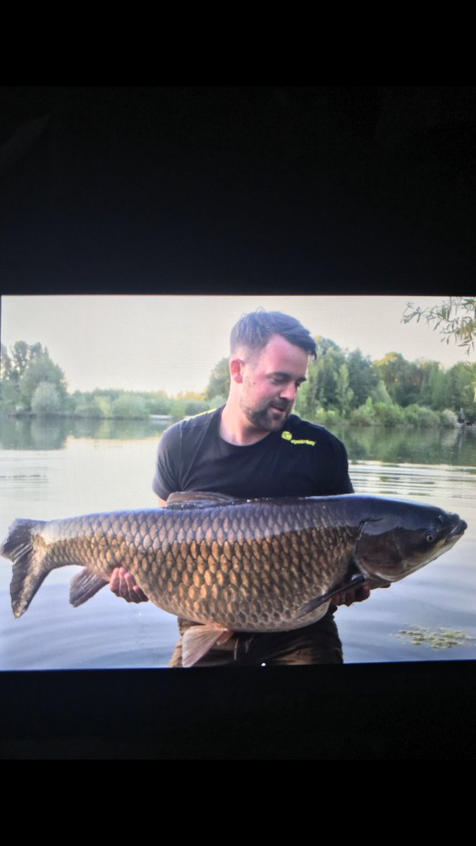 Anglingcompeti1's tweet photo. Whatβs your biggest grassy? This is mine from abbeys lakes France at 54.10! I thought it was a bream until I got it under the tip π caught on @madbaits nutz #anglingcompetitions #grassy https://t.co/w9HE2dElNe