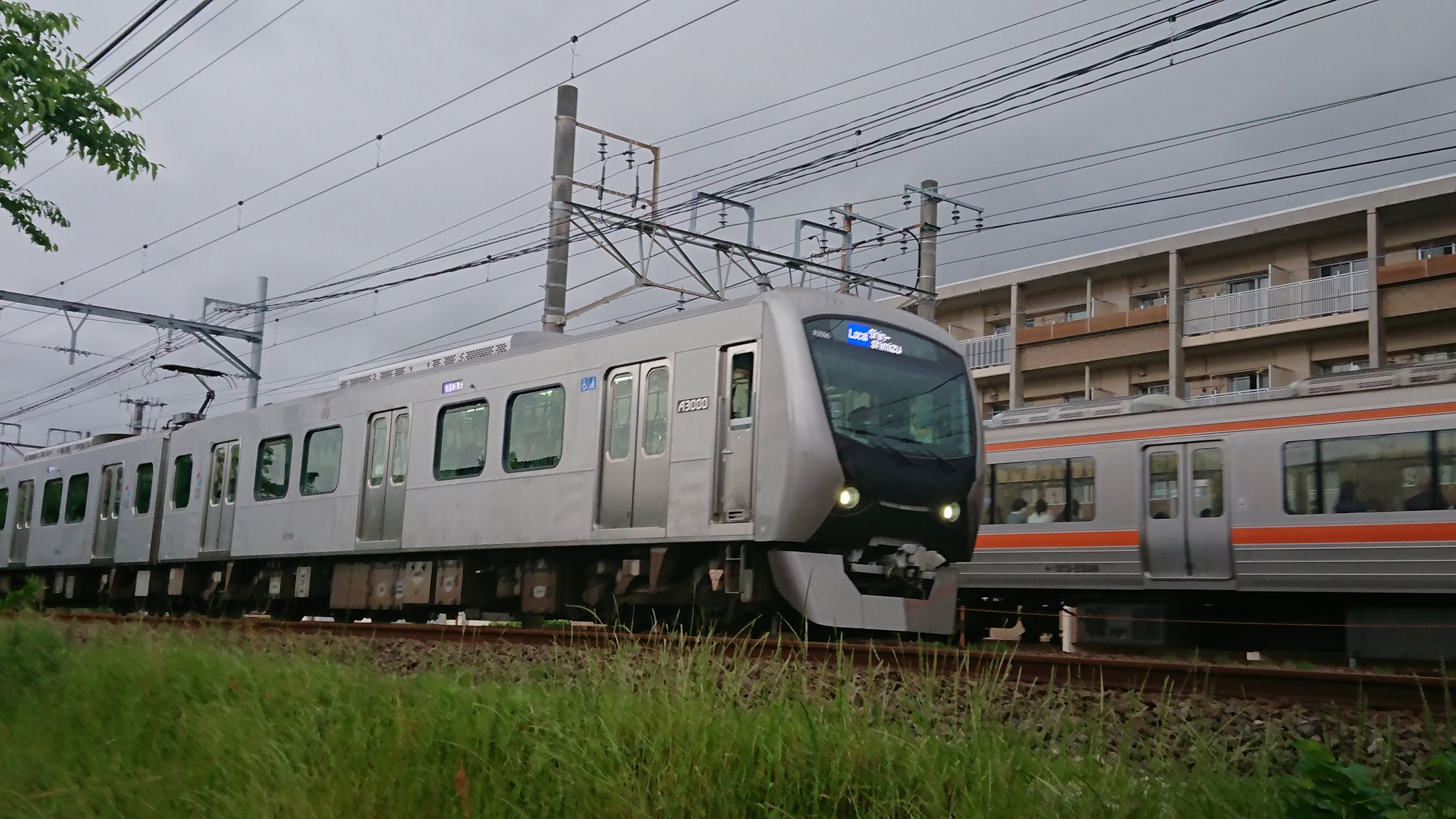 C66-145 静岡のむかし話(中部篇)三 折れ有り - 昔話、民話