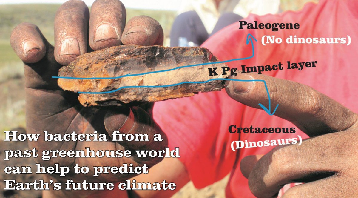GeoForTheFuture's tweet image. Did you know that geoscientists can reveal secrets about climate change at the time of the dinosaurs to help us predict future climate change?🦕☀️☄️

New blog by Emily Dearing Crampton-Flood @creltemp!

geoscienceforthefuture.com/how-bacteria-f…

@TheRhodRecord @UoM_EES @EarthSciPlymUni @doc_sabine