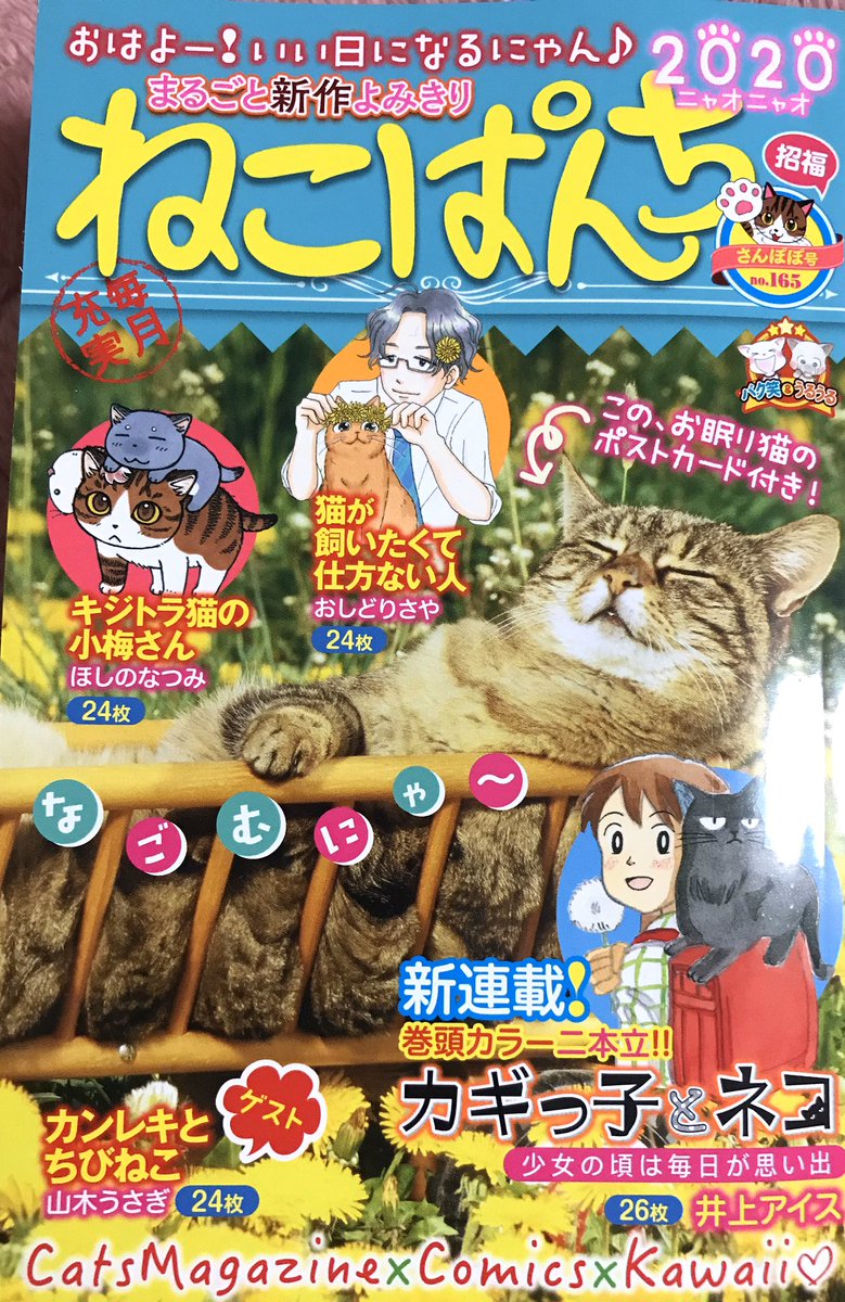 ねこぱんち 春ねこぱんち ねこぱんち しろねこぱんち 選べるグラスセット