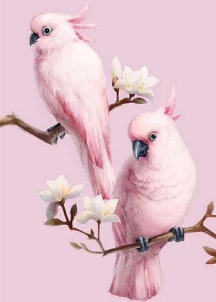 Dr Esther as beautiful birds thread:inspired by  @AlHendiify love you  @EstOdek 