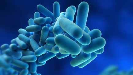 Health and Safety Executive tweet media