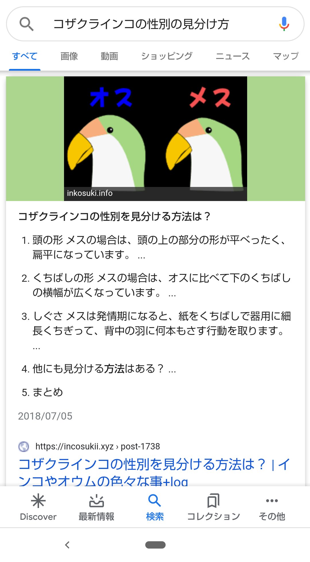 ฅ ﻌ ฅ You Ko Lisaｯ子ฅ ﻌ ฅ Reona Mana コザクラインコさんでしたか セキセイインコにも似た感じの子が居たのでｽﾐﾏｾﾝm M どちらにしろ可愛い子をお迎えしましたね W コザクラインコの性別の見分け方は こんな感じみたいです