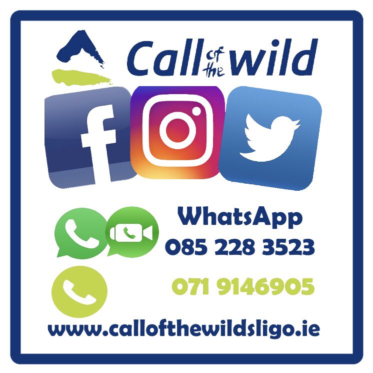 callofthewild1's tweet image. 🔥Bargain of the Day🔥
✅Ladies long sleeve Endura cycling Jersey
🚨Last one €30🔥
➡️Size large only
WhatsApp 0852283523 to order!
#bargain #endura #cycling #womens #pink #thinkpink #sligo #callofthewild