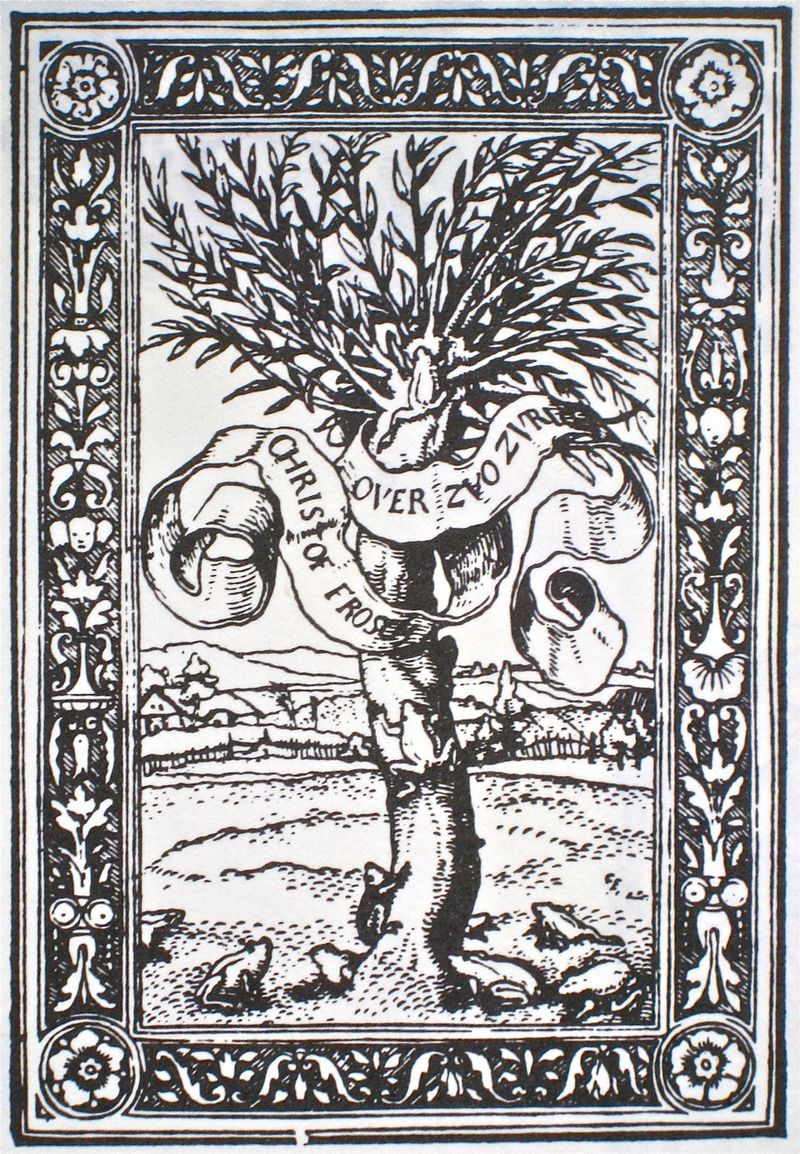 The species name honours Christoph Froschauer (ca. 1490 – 1564), a renowned printer who's family name means "the man from the floodplain full of frogs". Froschauer used to sign his books with a woodcut showing frogs under a tree