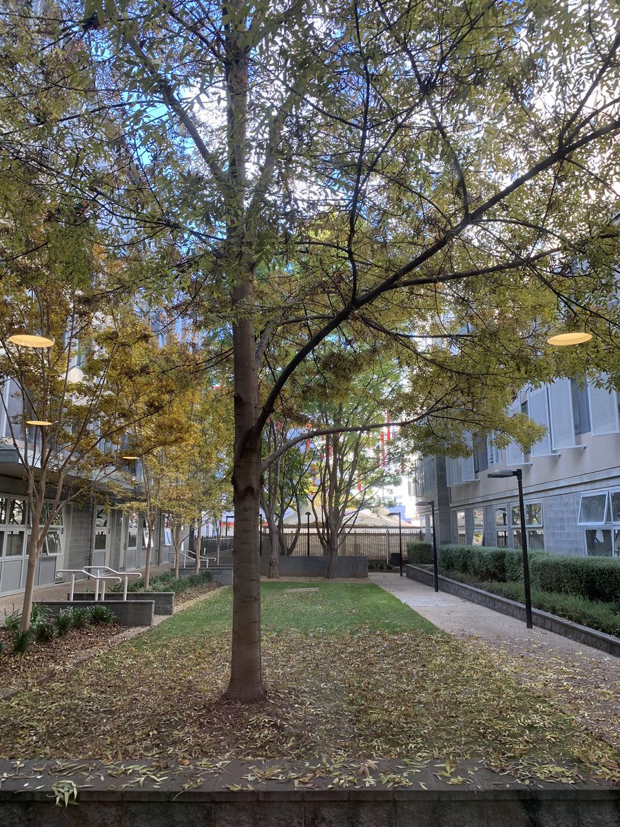 Xingshuo Huang tweet media