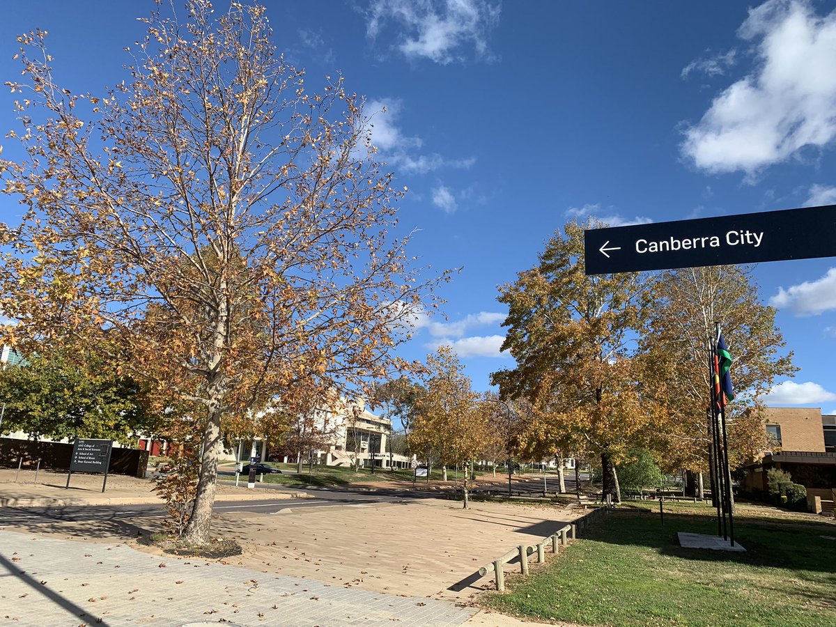 Xingshuo Huang tweet media