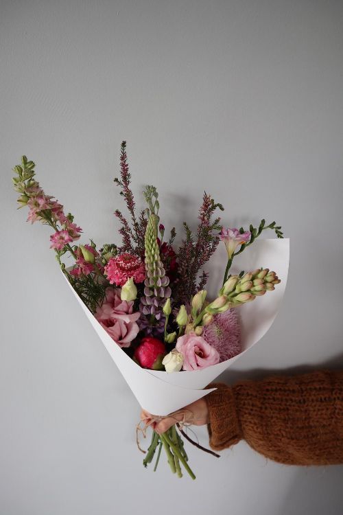 All Summer Long | Bunch of the Week - mailchi.mp/b9d081e30b2c/a…