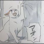 お父さんは悪くない…。愛猫を助けたのに威嚇されるお父さん!