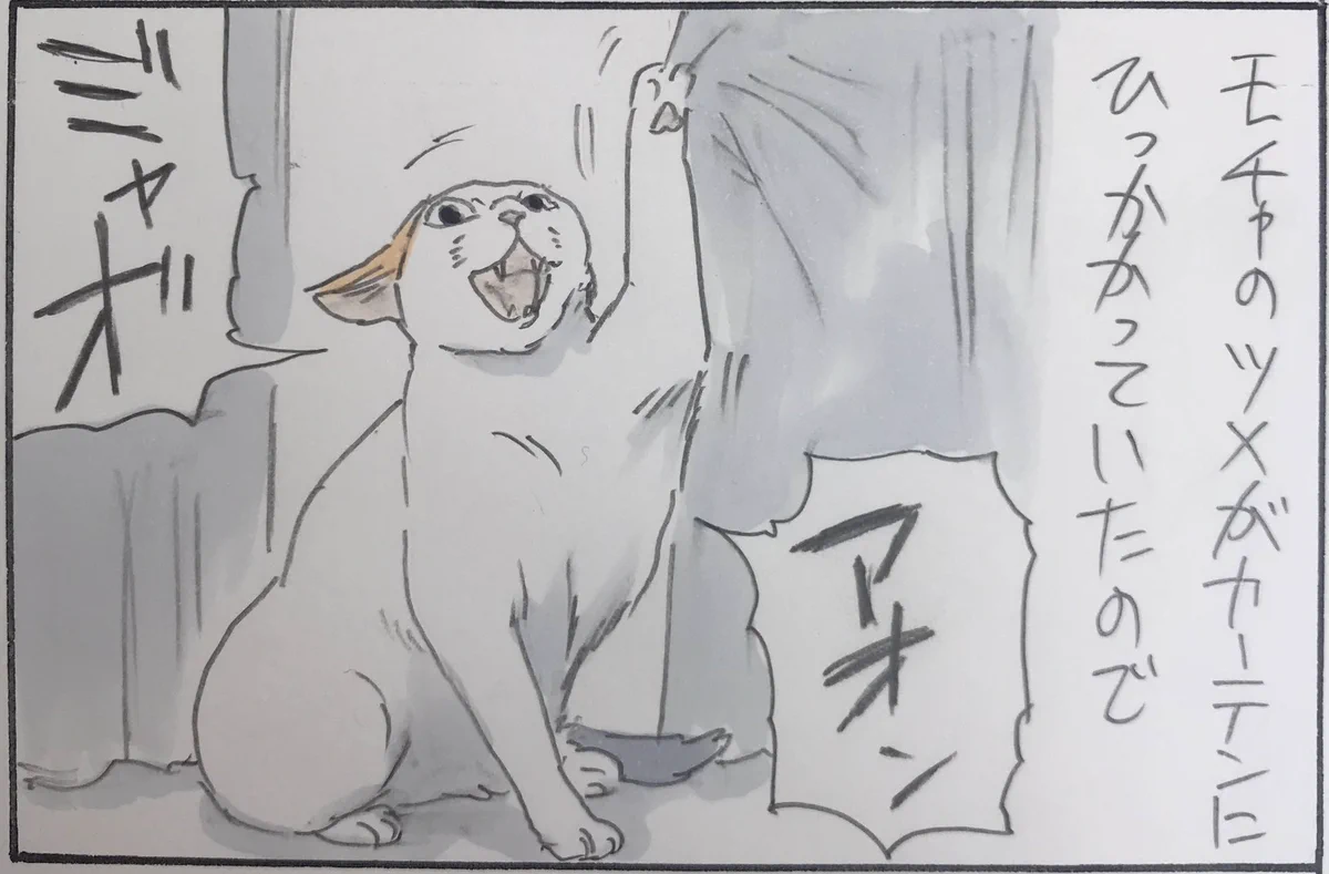 お父さんは悪くない…。愛猫を助けたのに威嚇されるお父さんｗｗｗ