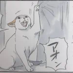 お父さんは悪くない…。愛猫を助けたのに威嚇されるお父さん!