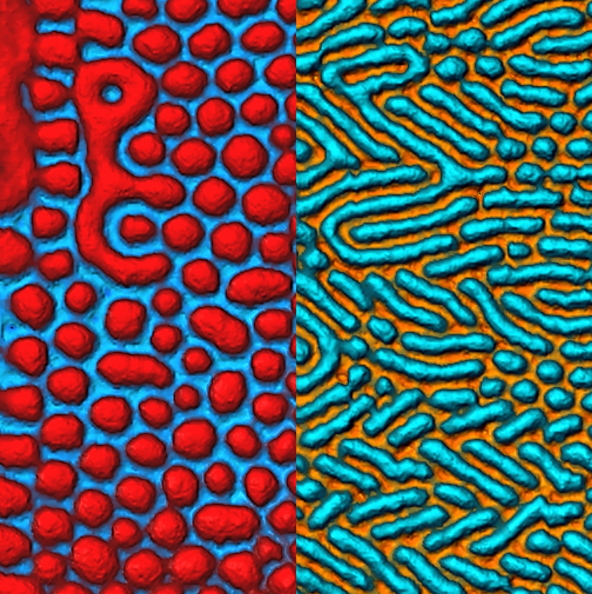 NTMDT's tweet photo. Magnetic Force Microscopy maps of Yttrium Iron Garnet film before (left) and after (rigth) application of external magnetic field in X direction.
Size: 30x30 um
.
.
#NTMDT #YIG #MagneticForceMicroscopy #AtomicForceMicroscopy #Nanomuseum #NTEGRA #НТМДТ #Интегра #магнит #Наномузей https://t.co/EiEQk60R0e