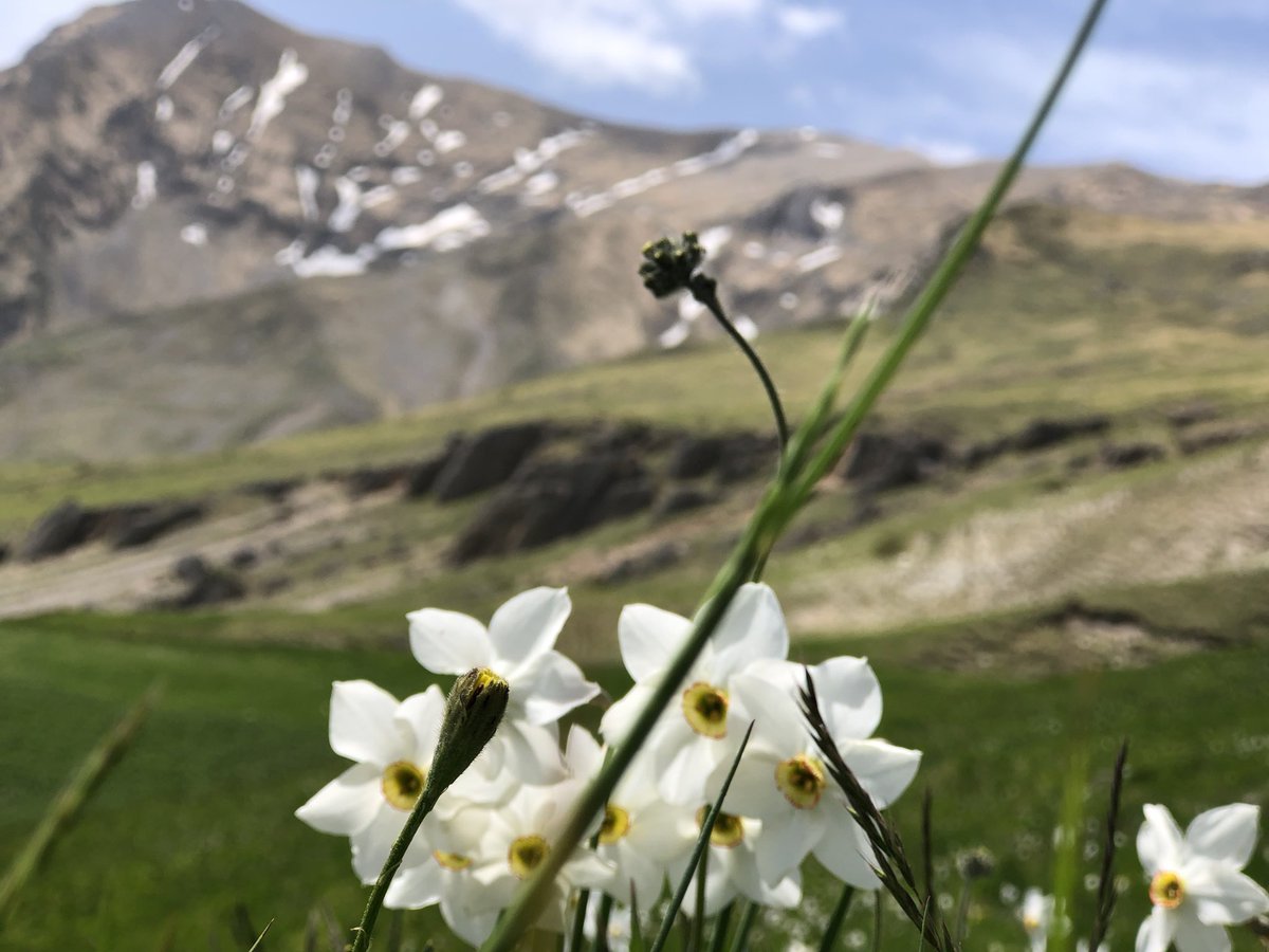 Fernandotraini's tweet photo. Adoro la #primavera #montegallonelcuore https://t.co/qLWaVEpKJu