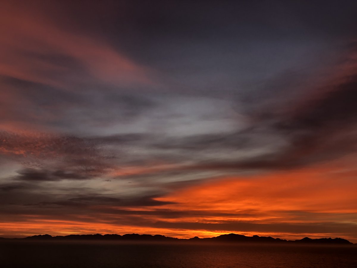 thejaxblog's tweet photo. RT lovecapetown: RT TableMountainNP: #TuesdayMotivation

Today, we bring you photos from False Bay. Hopefully, they will brighten up your day and give you hope that South Africa will travel again. We’re in this together. Stay safe and stay home.

#SANPar… https://t.co/wr9NXkkbdp