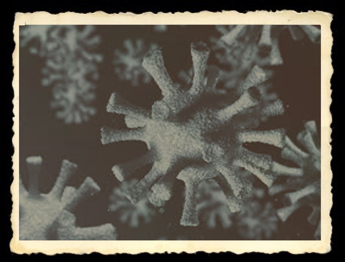 Markante Brusselse "lockdownverhalen" of "coronabelevenissen" gezocht via: docs.google.com/forms/d/e/1FAI…; #AQA