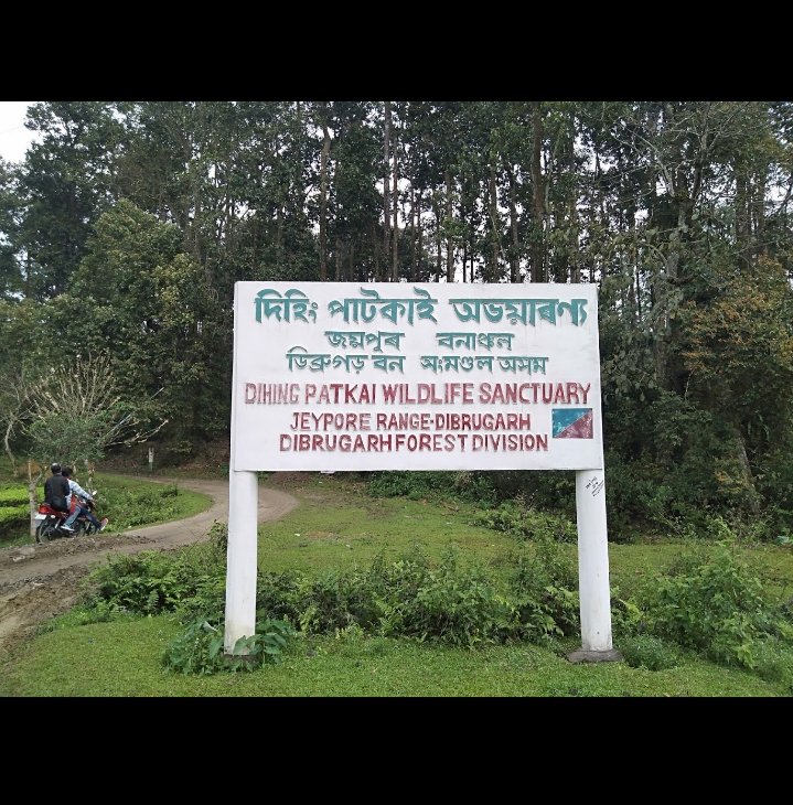 #savedehingpatkai 
#iamdehingpatkai 
#governmentofindia 
#Assam 
#StopCoalMiningProject