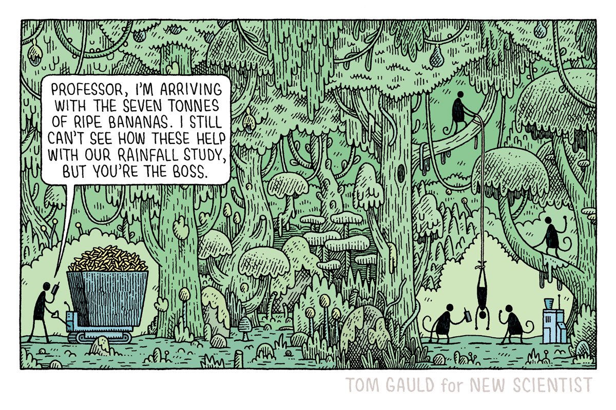 tomgauld's tweet image. A recent cartoon for @newscientist 
p.s. my new book of science cartoons is out now: tomgauld.com