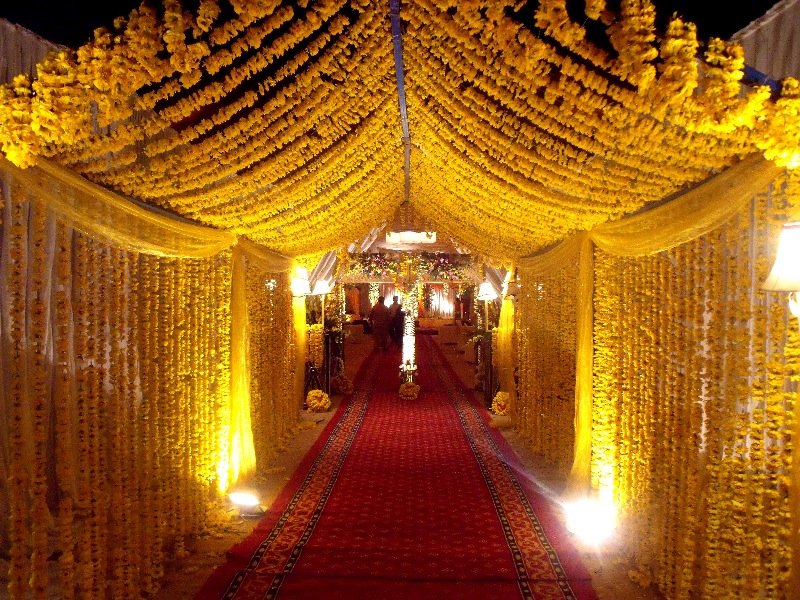 DecorPlanet3's tweet photo. Have a look at this site and check out some amazing themes and deals
https://t.co/U2IkRHXb5V

Keeping it fun!
#decorplanet #decoration #ideas #creativity #theme #website #business #birthday #wedding #fun #love #enjoyment #deals #party https://t.co/8zcaDFBgQH