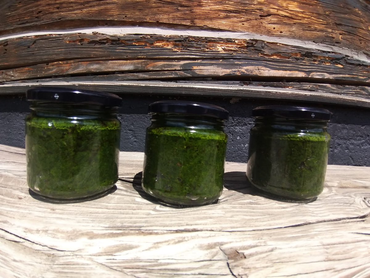 Dwa dni do końca zbiórki na #OdpalProjekt - a my przypominamy, że wspierając nas, wspieracie gospodarstwo ekologiczne i spółdzielnię socjalną z Beskidu Niskiego - Ekooddech i pesto z czosnku niedźwiedziego :)
odpalprojekt.pl/p/ventilaid-na…