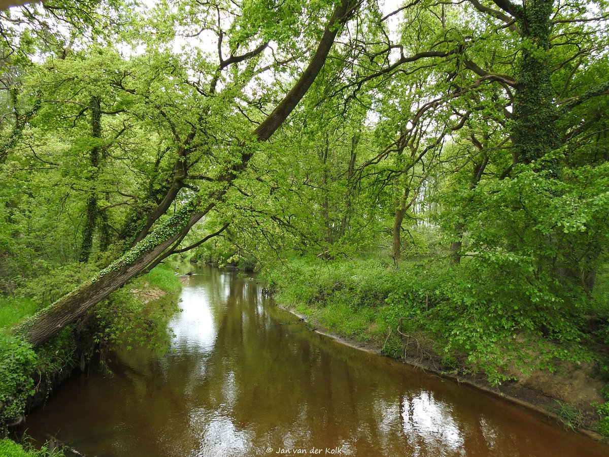 BekiekTwente's tweet photo. #HoudAfstand #VermijdDrukte
#HetkanallemaalinTwente, b.v. in #DeLutte #DeLut
* Dinkel
* Erve Beverborg
#Losser #SchatkamervanTwente
#TijdzatinTwente #BekiekTwente #VisitTwente #Twente https://t.co/GXSQ24ioV8