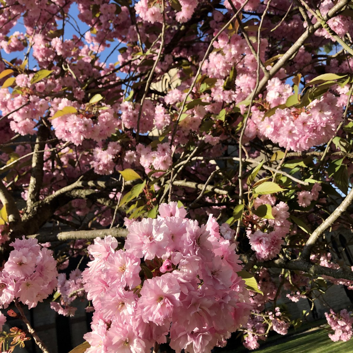 SSLBod's tweet photo. #MentalHealthAwarenessWeek
#TopTip5 Keep Occupied but Make Time for Yourself
Staying at home can seem overwhelming & sometimes filling time can be tricky but it is important to know that it is ok to not be productive all the time
See all our #TopTips at https://t.co/Kyl3vSDTCl https://t.co/Gg9ZKaa1AA
