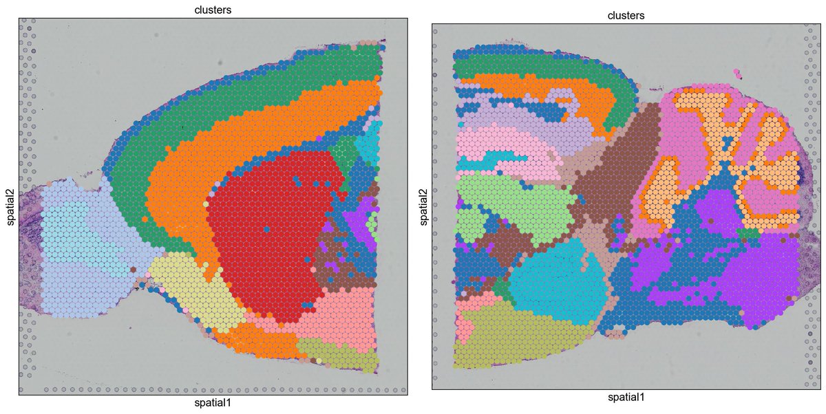 fabian_theis's tweet image. New #Scanpy and anndata releases are out, thanks to all the great contributors! New features include robust backend support for multiple slices in and data integration in spatial scRNA-seq, see tutorials: 
scanpy-tutorials.readthedocs.io/en/latest/spat…
scanpy-tutorials.readthedocs.io/en/latest/spat…