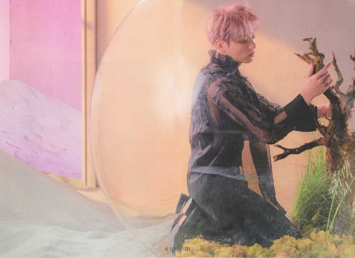 Answer e. Bts ансвер альбом. Bts album love yourself answer version. Цветы в шаре баблс. Bts фотосессия в шарах.