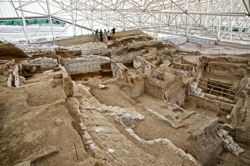 And it spread with farming - reaching, for example, the famous Neolithic village of Çatalhöyük in central Turkey, where Emma Jenkins found it associated with grain storage c.9000-8500 years ago ( http://eprints.bournemouth.ac.uk/16331/ ; image Çatalhöyük Project, CC-BY-NC-SA). 3/23