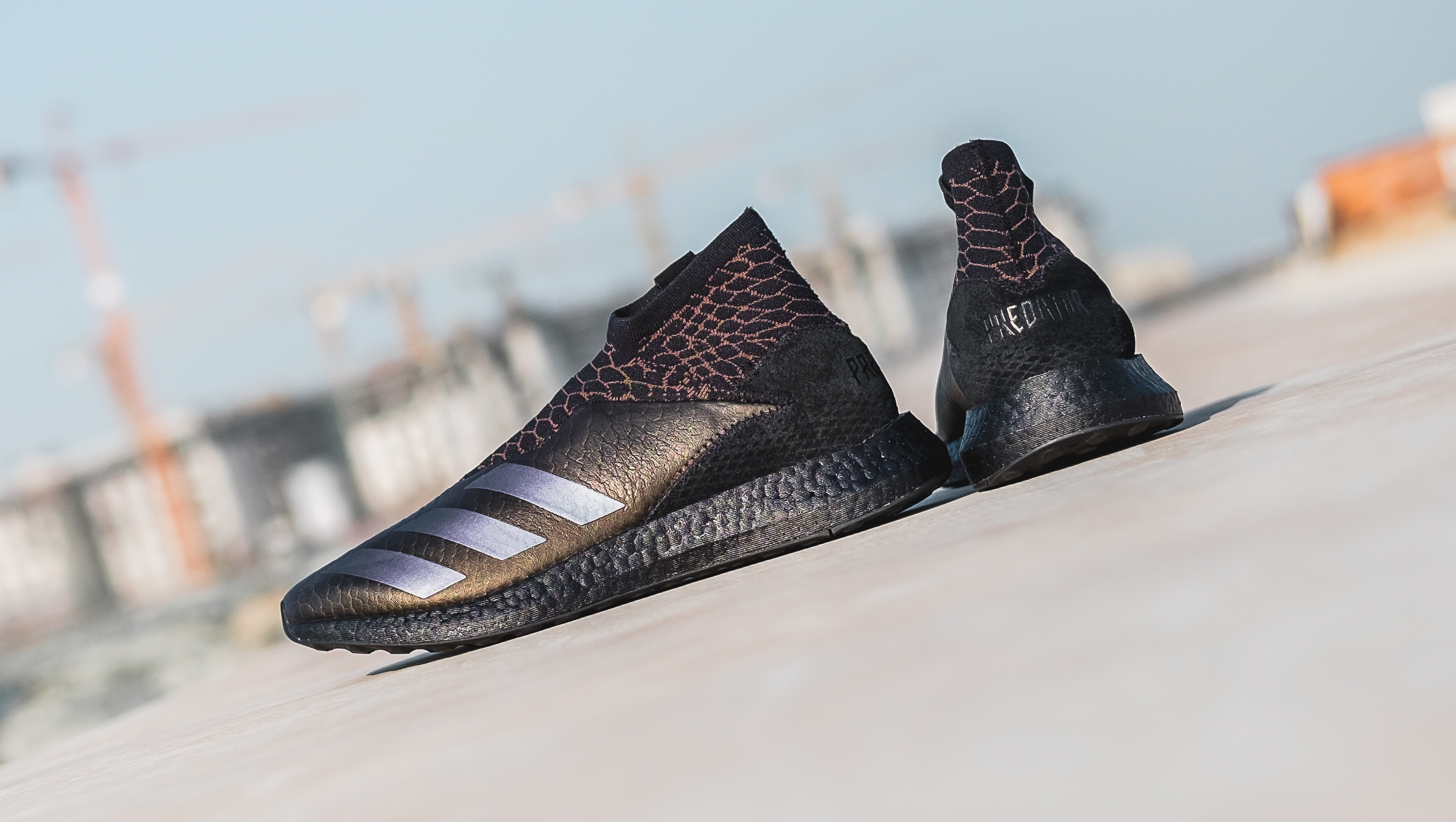 thegoodlife. on Twitter: "The adidas Predator 20.1 ANML is now available online and in-store | UK7 UK11 | AED775 ⁣ https://t.co/qApVfuPnwE | WORLDWIDE SHIPPING⁣ #TheGoodLifeSpaceDubai #adidas #dubai https://t.co/gjPVN1tkkc" /