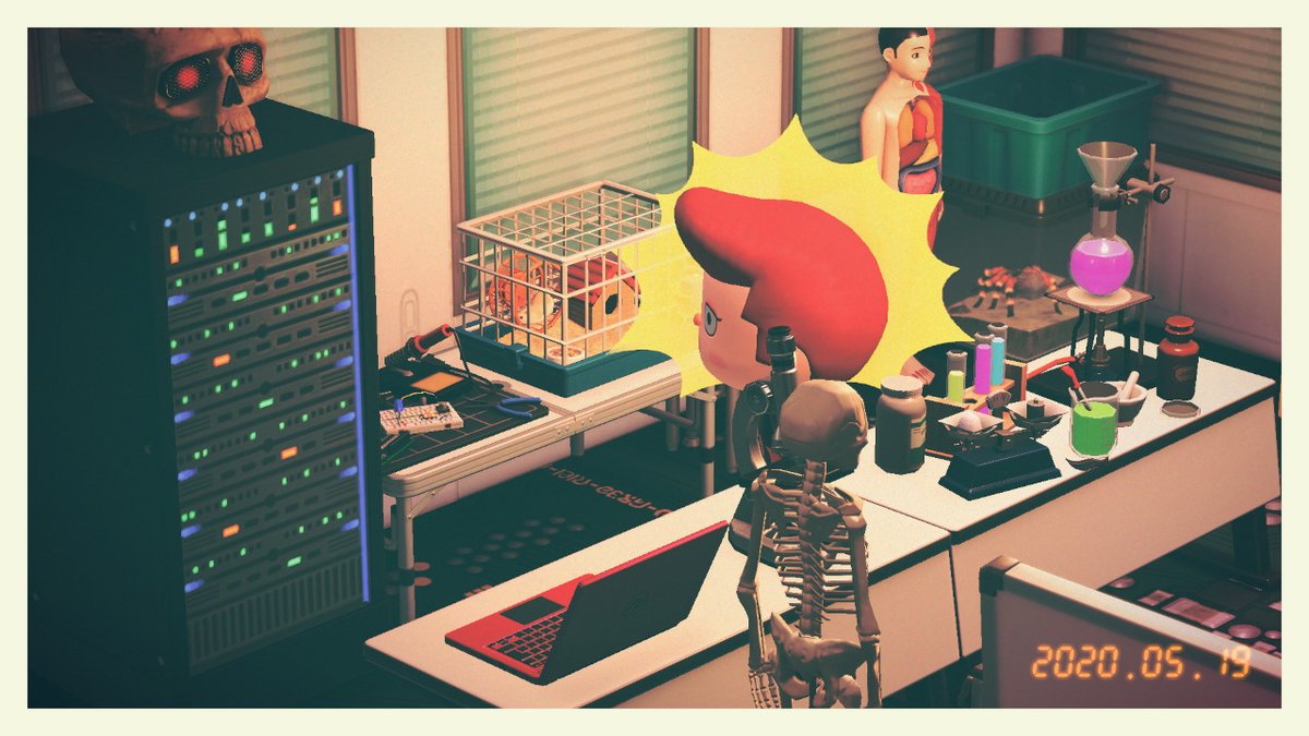 realphoebe810's tweet photo. #動物森友會 #AnimalCrossing #ACNH #NintendoSwitch https://t.co/RxGt2MSvNC