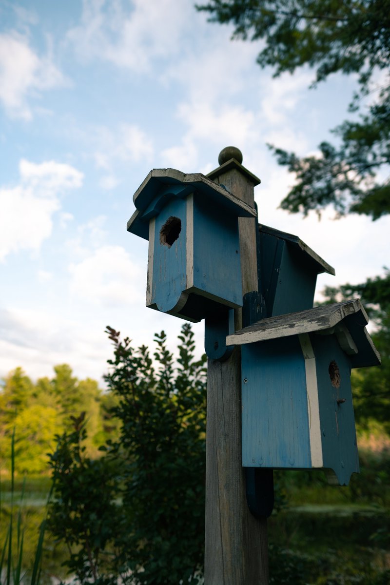 USHandmadeCraft's tweet image. Add style to your yard or garden and give a bird a great home at the same time! Shop our Birdhouse Collection and get yours just in time for summer! 🐦🐤

Shop Now ➡️ ow.ly/MyTx50zKqVy