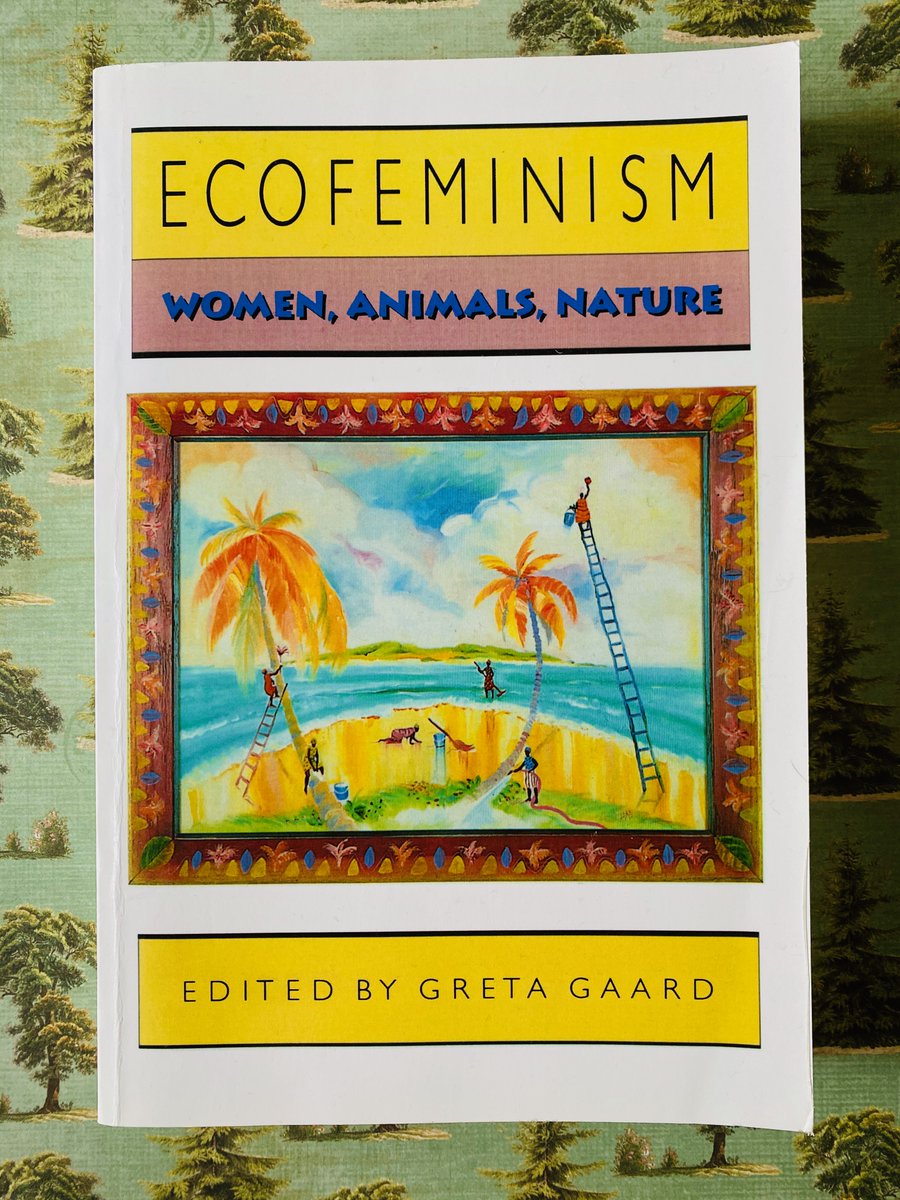 The 'Ecofeminism: Women, Animals, Nature' anthology, edited by Greta Gaard, is another great collection, which shows ecofeminism’s capacity to enact anti-oppression that includes the more-than-human, feat. essays by ecofeminist theorists like Josephine Donovan and Linda Vance.