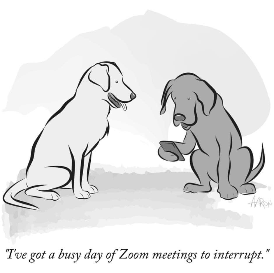 ThompsonReport1's tweet image. A court reporter's nightmare!