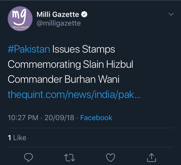 Mouthpiece of Hizbul Mujahideen? (4/n)