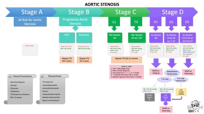 How would you approach a case of fever+ rash? How about monoarthritis? And would you like to know the stages of aortic stenosis?All of which are presented in clear and concise infographics. Don’t miss any of it on  @grepmeded  https://twitter.com/grepmeded/status/1258772405926998020