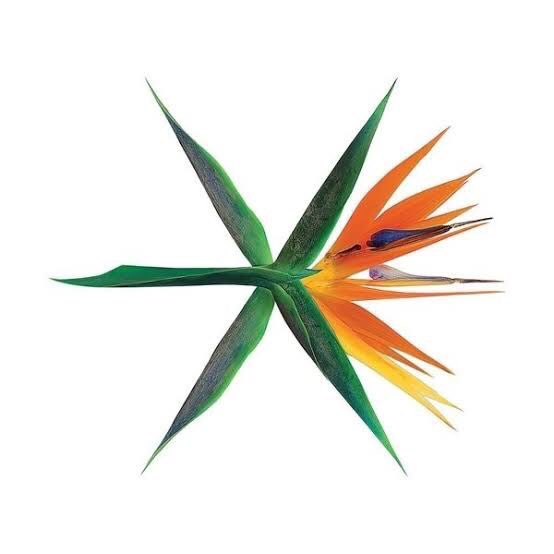 BrightWin as EXO albums: A Thread 