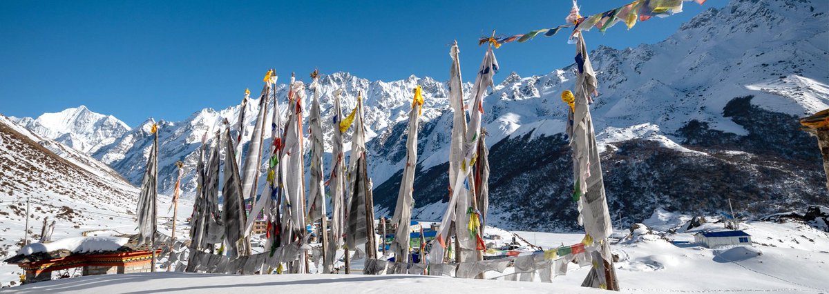 Trailsnepal's tweet photo. Have you observe Tamang Heitage Culture of Gatlang Village Langtang? 
#langtang #buddhism #Tibetans #tamangculture #Nepal 
Tamang heritage trekking trails are a new trekking route in Nepal Himalaya of the Langtang region. 
Find out here:
https://t.co/D7j0Sq871G https://t.co/GJRapk5oXl