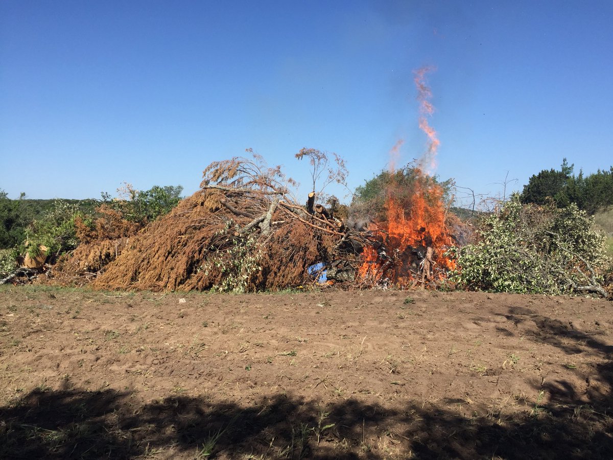 TimDWare's tweet photo. Quarantine and spring rains have allowed us to clear brush at a grand pace...3rd brush pile burn of the quarantine. #bonfires #windlessday #rurallife https://t.co/9WwXaDfWyy