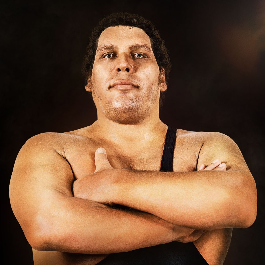 Happy Birthday to 
Andre The Giant          