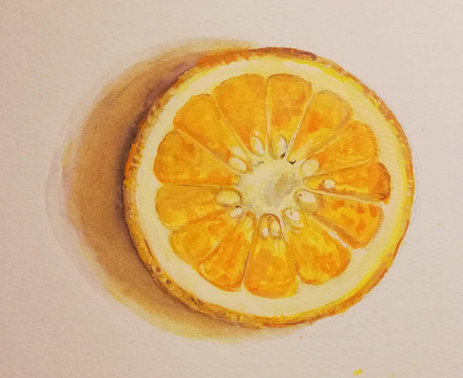 Miyu 甘夏って美味しいよね 甘夏 みかん 果物 水彩画 夏 Fruit デッサン 絵 イラストレーション 断面 みずみずしい T Co 8cvguhyxk0 Twitter