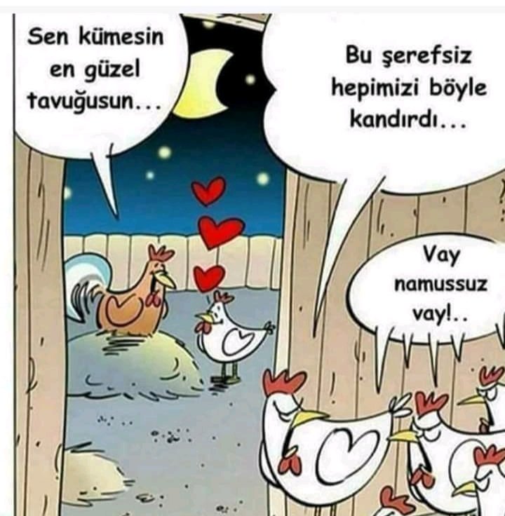 EyllTolga3's tweet photo. Hayvanlar alemide dertli😅😅😅 https://t.co/emYcmkeKum
